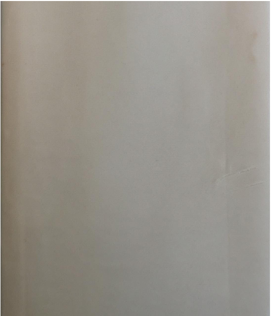 Velvet plain col. beige ( single width)
