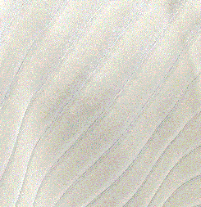 (FR) Fabric velvet striped design col. cream ( FiberGuard) (single width)
