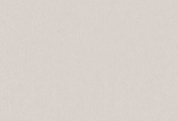 Wallpaper leather col.light grey