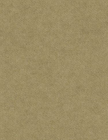 (FR)Plain velvet col.beige (single width)