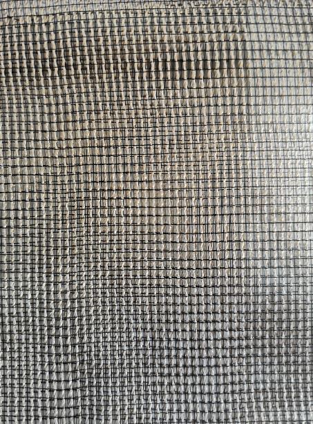 Sheer plain col. gold beige (double width)