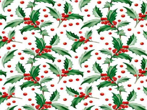 Christmas holly design col. red (double width)