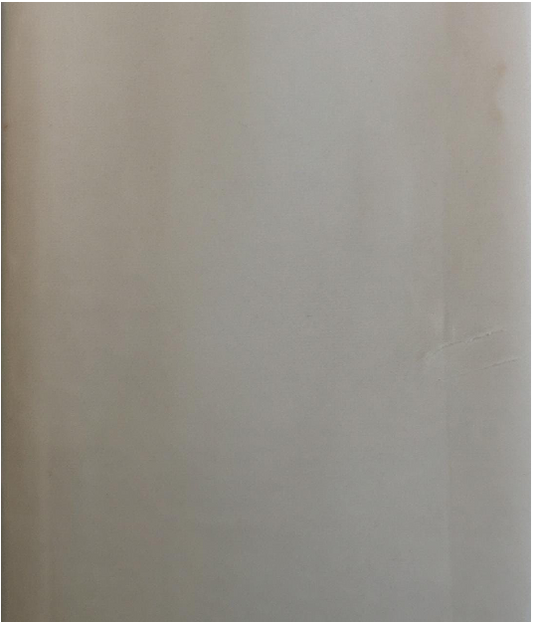 Velvet plain col. beige ( single width)