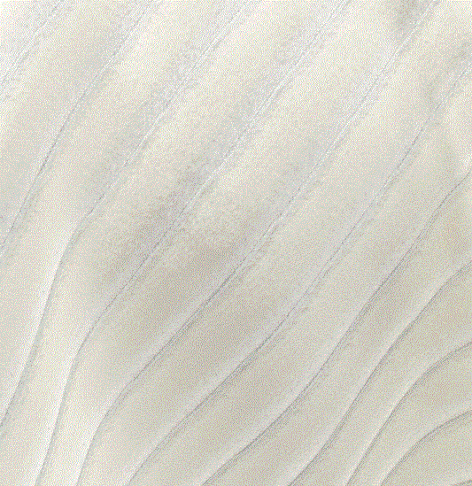 (FR) Fabric velvet striped design col. cream ( FiberGuard) (single width)
