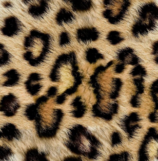 Fabric leopard  design col. black/brown (single width)