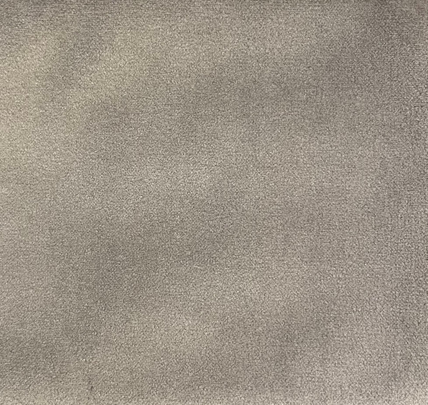 Plain velvet col. greige (single width)